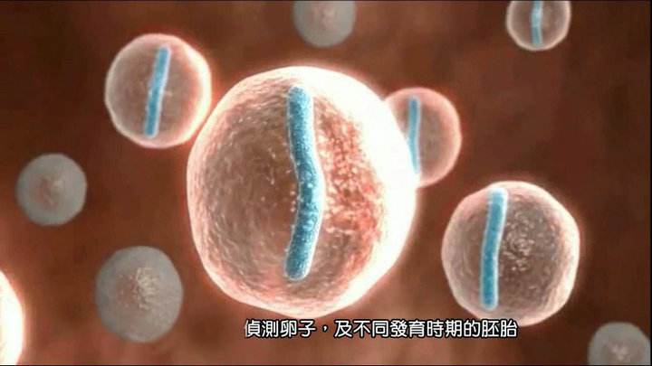 想要宝宝一直怀不上去医院查哪些,想要宝宝却怀孕不上怎么回事