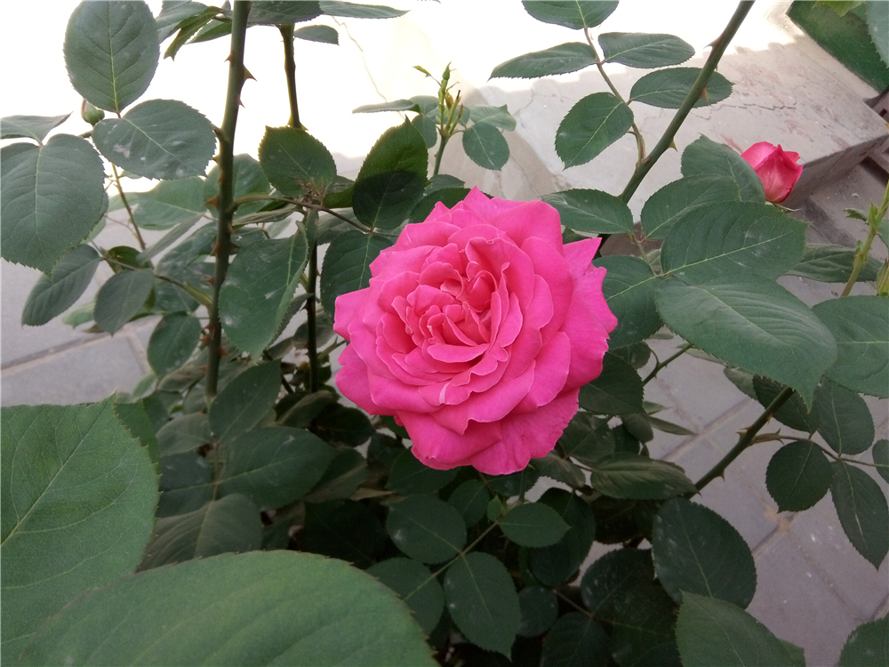 不一样的视角让你享受感官盛宴-ivviK5裸眼3D手机体验