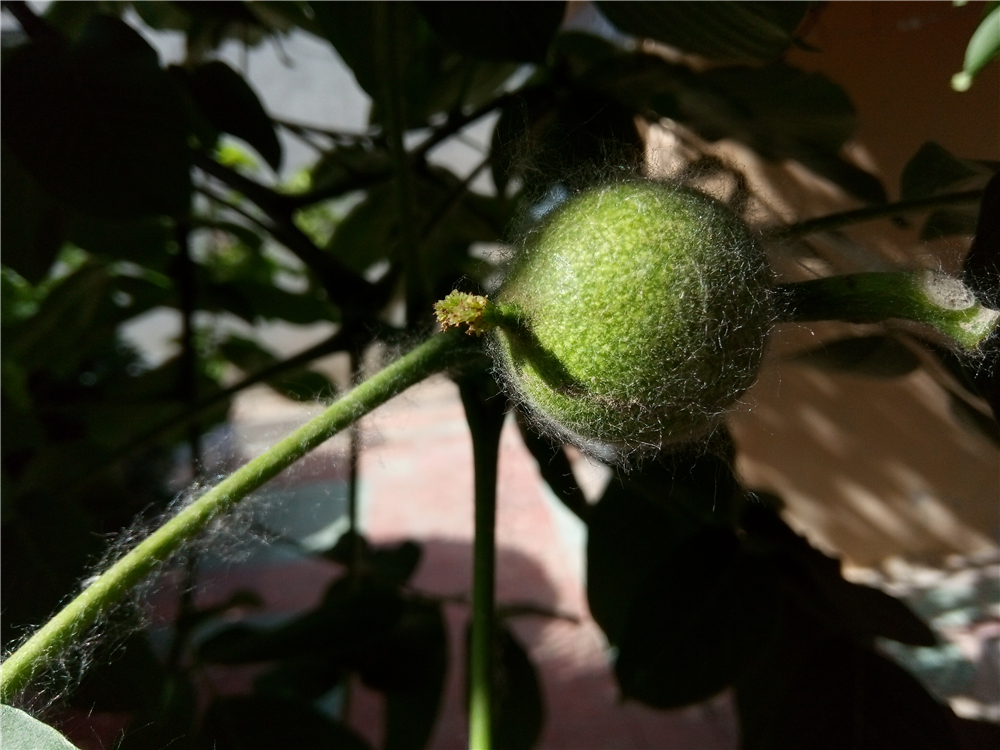 不一样的视角让你享受感官盛宴-ivviK5裸眼3D手机体验