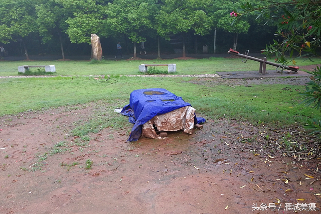 衡阳市平湖公园,衡阳平湖公园