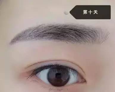 做过眉毛需要咋护理呢,做眉毛眼线的区别