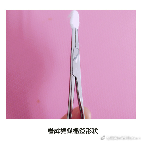 宠物美容小课堂第三堂之清理耳道