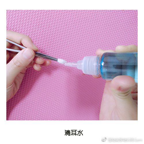 宠物美容小课堂第三堂之清理耳道