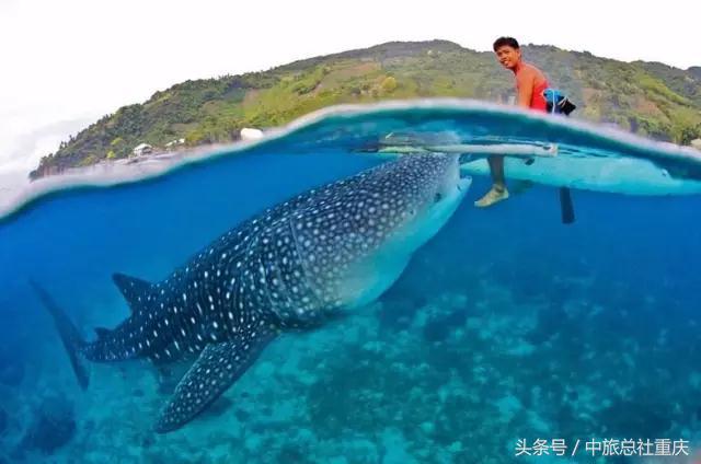 宿务旅游跟团七日游,宿务旅行攻略