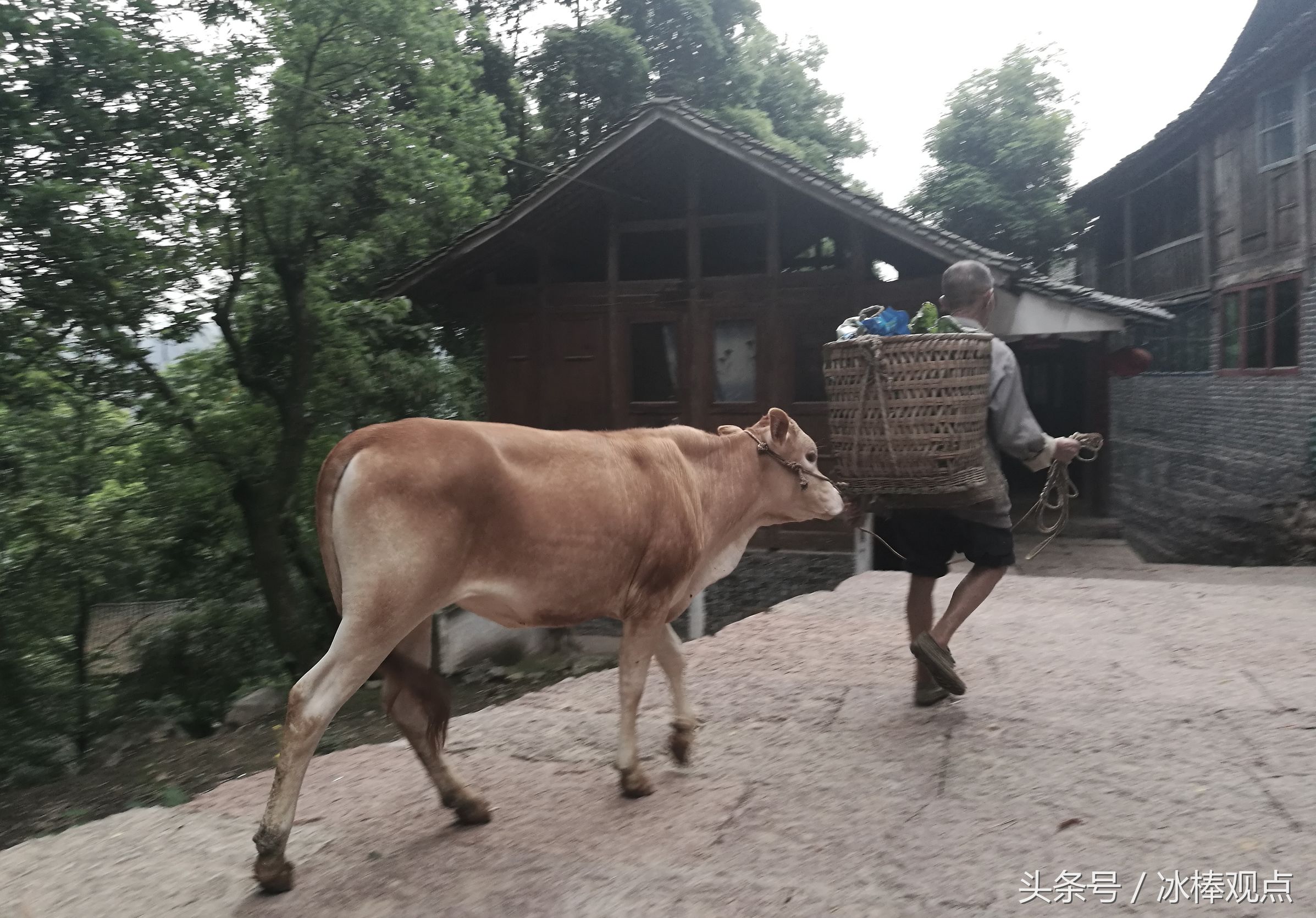 藏在贵州大山深处的惊艳之美,隐藏在贵州大山里的古寨
