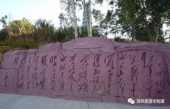 十年前的深圳求水山公园,深圳求水山公园观光图