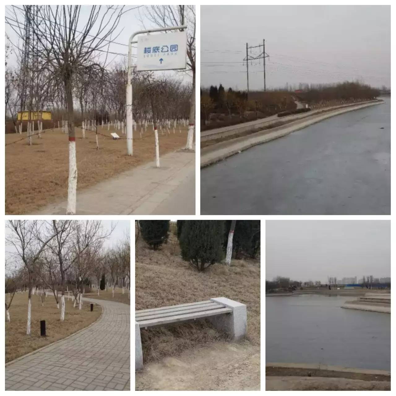 我用30万步，走遍石家庄公园