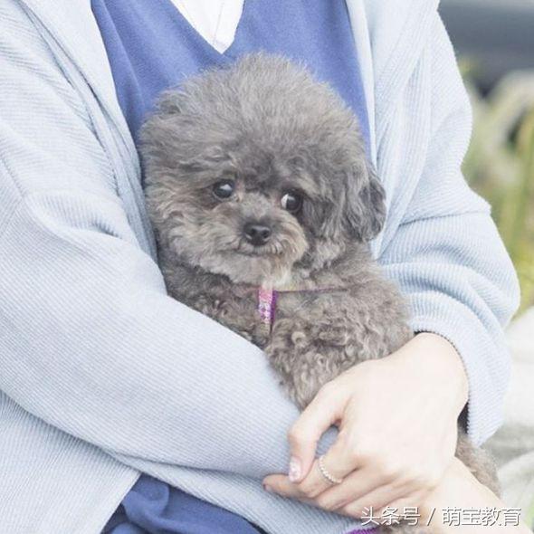 34岁准妈妈孙慧雪的快乐怀孕日记