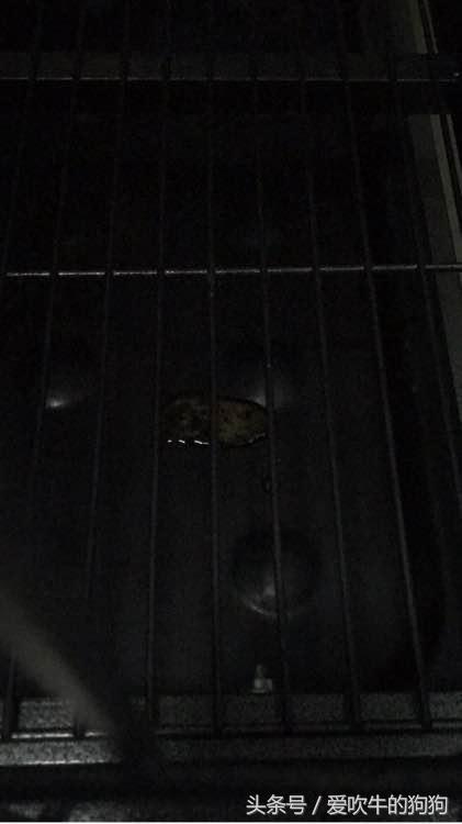 细小治愈过程,治疗细小的过程为什么那么痛苦