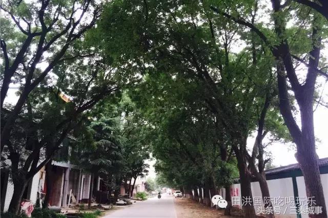 西安最好看灞桥风景,西安灞桥美丽的风景线