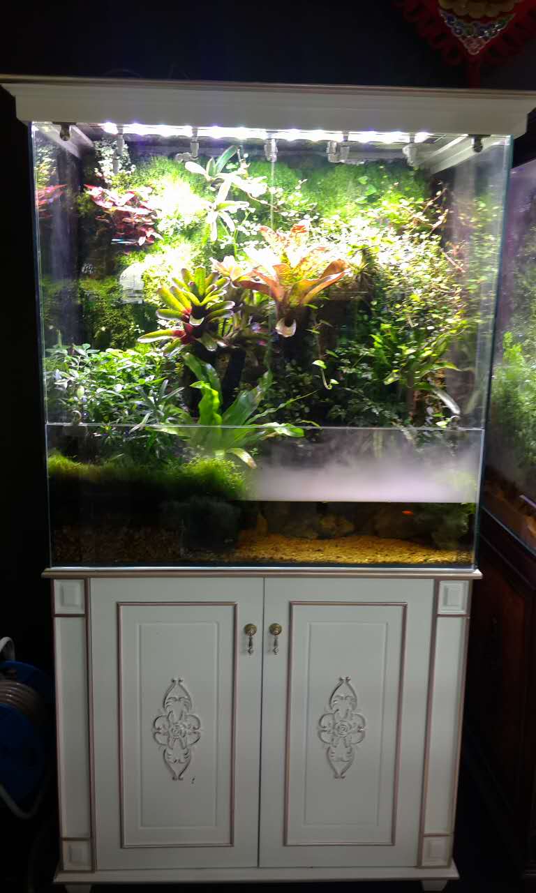 水族店发展思路,水族店开在哪里合适