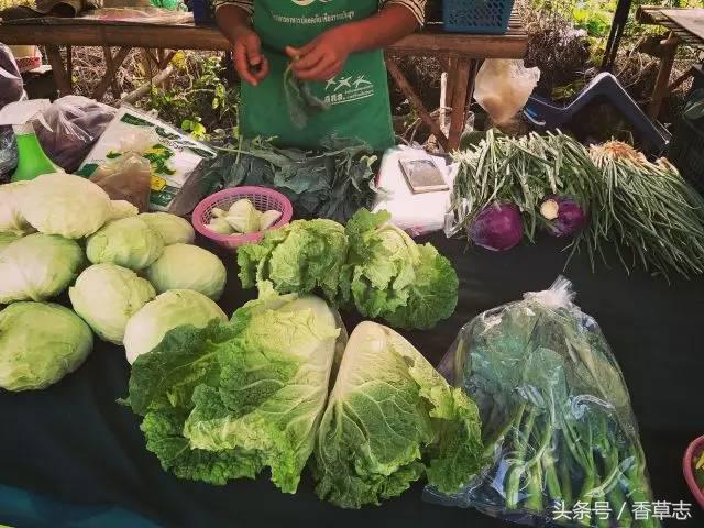 泰国菜市场有什么香料 (泰国菜市场买什么香料)