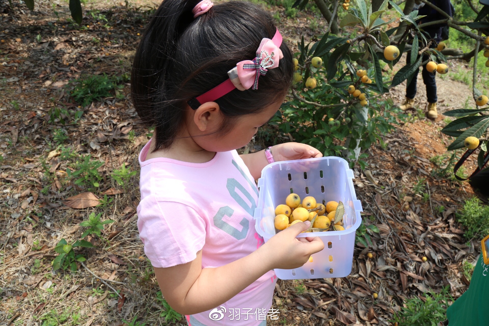 日日春农庄,日日春农业生态园