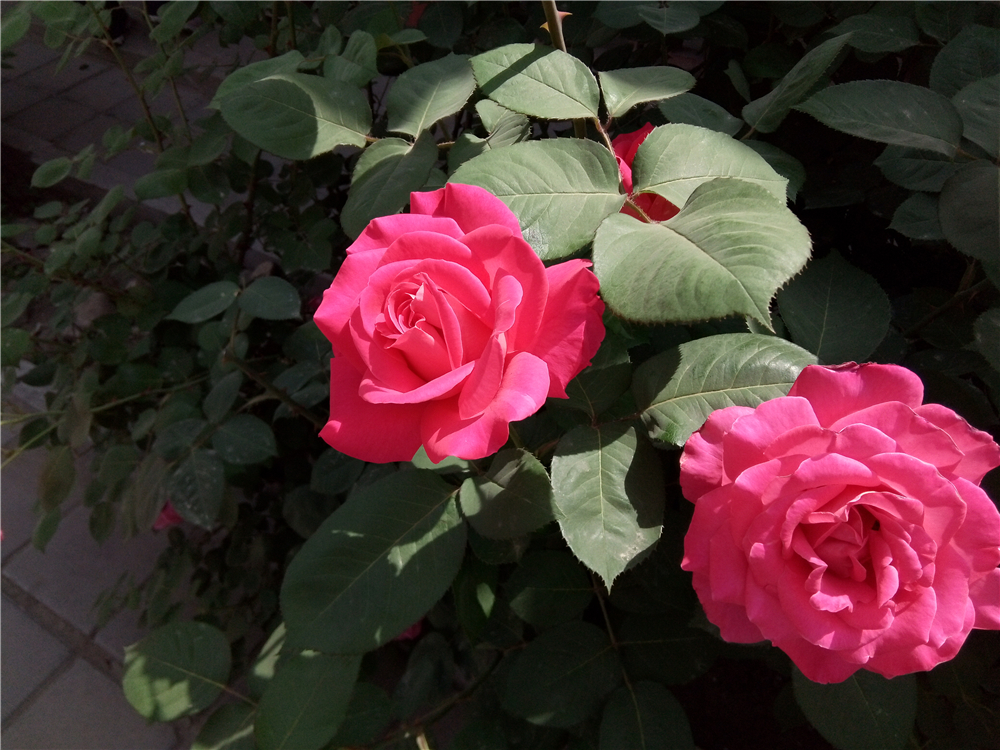 不一样的视角让你享受感官盛宴-ivviK5裸眼3D手机体验