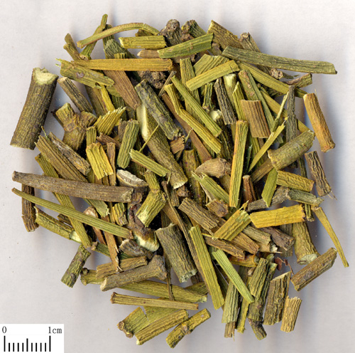 既能祛风湿又能强筋骨的药,五加皮治疗风湿关节的正确用法