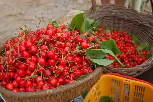 我们常吃的菜有哪些,现在我们做饭都是三鲜馅儿怎么办