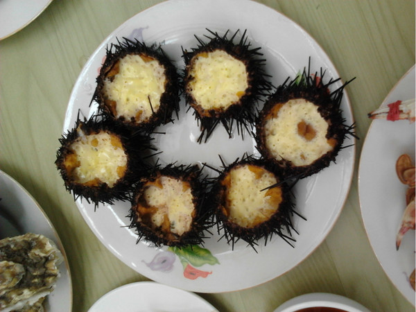 烟台蓬莱长岛两日游景色美极了,烟台长岛三日游攻略