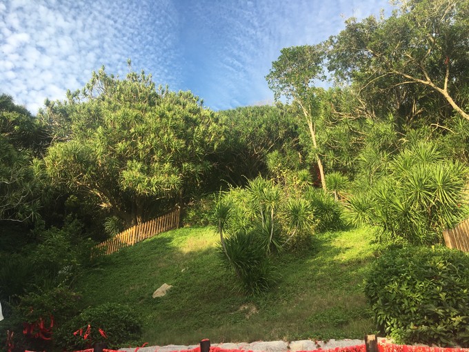 两个快乐的小阿妹神游三亚