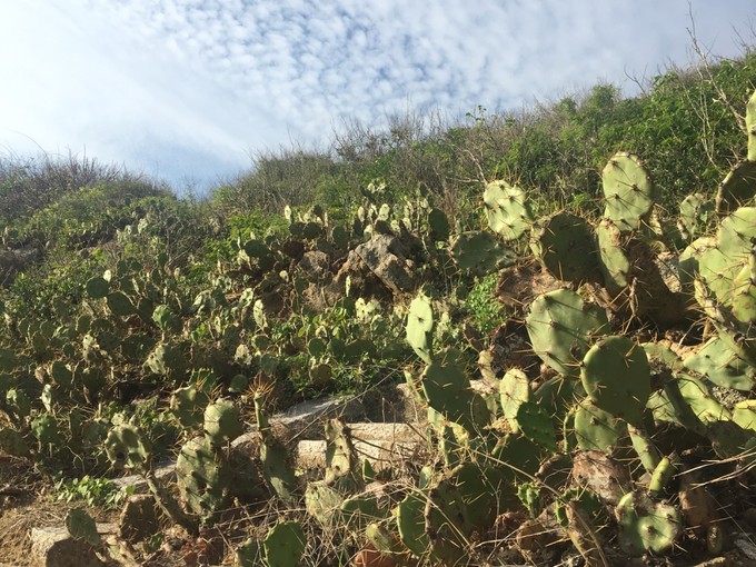 两个快乐的小阿妹神游三亚