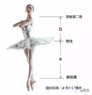 北舞有多难进,进入北舞有哪些条件