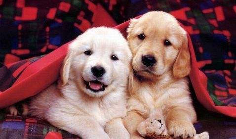 未婚同居的真实事件,未婚同居可能出现的问题