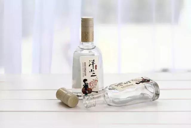 洋河酒重磅招商,新洋小洋河