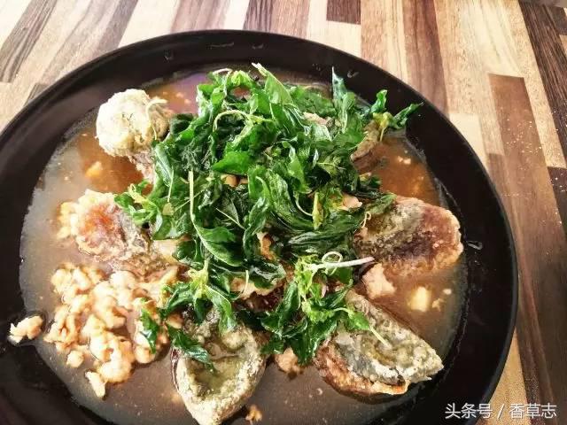 泰国菜市场有什么香料 (泰国菜市场买什么香料)