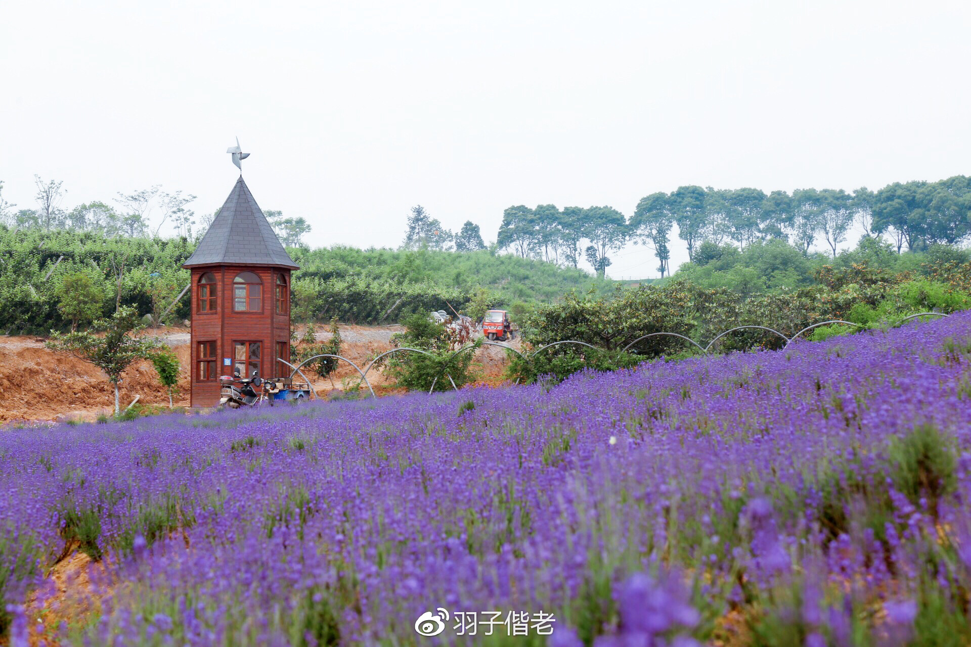 日日春农庄,日日春农业生态园