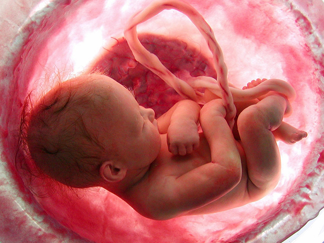 胎儿在肚子里为什么会吸入胎粪,胎儿在肚子里会不会拉屎尿尿