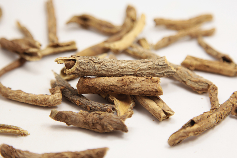 既能祛风湿又能强筋骨的药,五加皮治疗风湿关节的正确用法