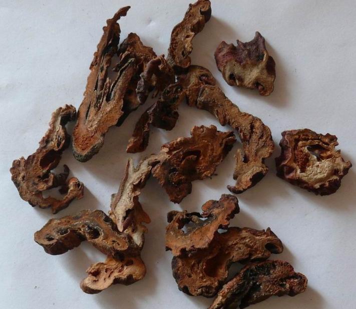 既能祛风湿又能强筋骨的药,五加皮治疗风湿关节的正确用法