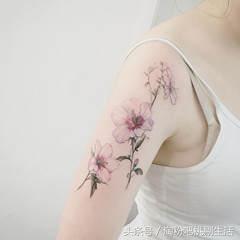 纹身怕疼可以纹身贴吗,纹身怕洗不掉又想纹