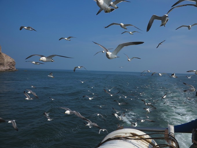 烟台蓬莱长岛两日游景色美极了,烟台长岛三日游攻略