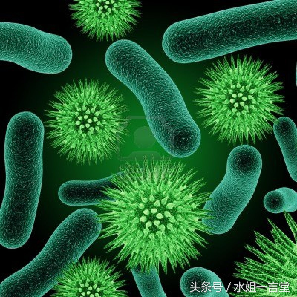 肉眼看到的和相机看到的区别,肉眼看到的和看不到的