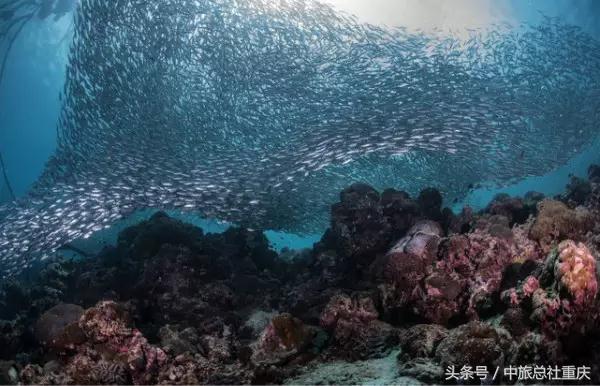 宿务旅游跟团七日游,宿务旅行攻略