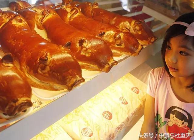 宿务旅游跟团七日游,宿务旅行攻略