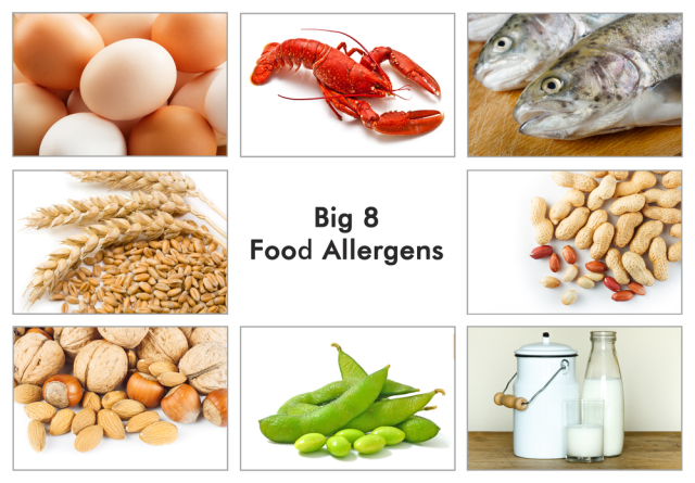 healp治愈帮l婴儿食物过敏饮食方案