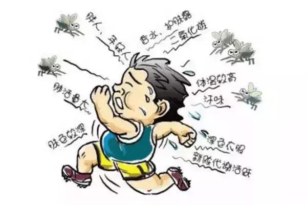 为什么蚊子只咬你很少咬别人,为什么蚊子只咬你不咬别人