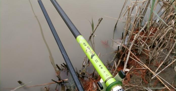 有毛不算秃含义,有毛不算秃怎么回复