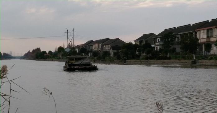 有毛不算秃含义,有毛不算秃怎么回复