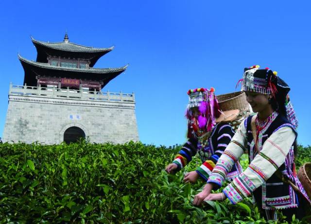 自驾从云南到泰国,自驾旅游到云南