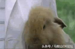 见过这样的马鞍山,你的年龄就暴露了!