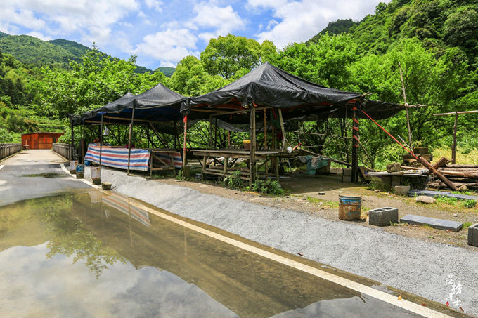 哪儿有原始森林拍照的景区,冬天适合拍照的原始森林