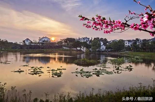 南京世凹村,南京世凹桃源景区