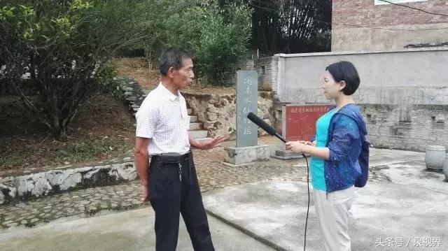 漳平水仙寻茶,永春特级老枞水仙价格