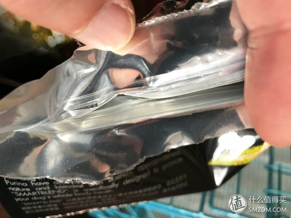 目测托米你要火！丝倍亮成犬全价托米亲吃评测以及托米的成长史