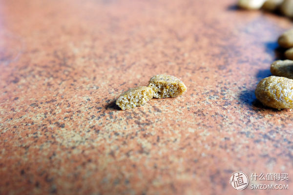 目测托米你要火！丝倍亮成犬全价托米亲吃评测以及托米的成长史