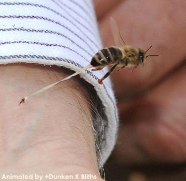 被蜜蜂蛰是什么感觉,被蜜蜂蛰了一下发现是触电的感觉