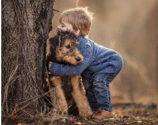 愿你与这世界温暖相拥经典语录,一句简单温暖人心的话