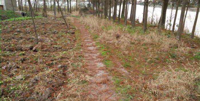 有毛不算秃含义,有毛不算秃怎么回复